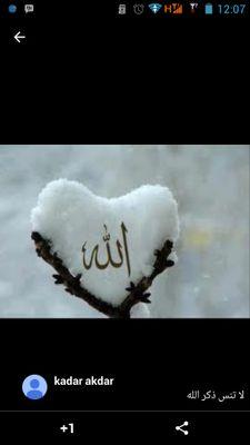 لا اله الا الله محمد رسول الله