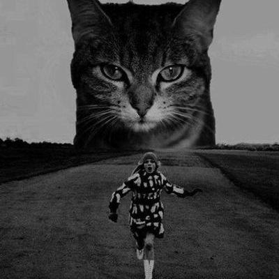 artbenichou's profile picture. Pub, photo, cinéma.