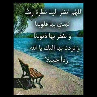 سُبْحَانَ اللَّهِ ، وَالْحَمْدُ لِلَّهِ ، وَلا إِلَهَ إِلا اللَّهُ ، وَاللَّهُ أَكْبر