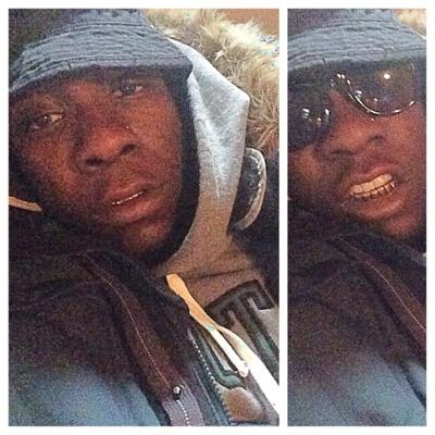 Drizzy_POW's profile picture. Stray and grey Wolf IG: nino_pow