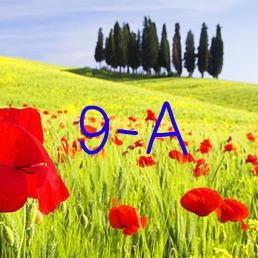 13Vkcom's profile picture. 