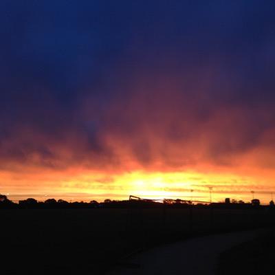 DavidRo69297228's profile picture. 