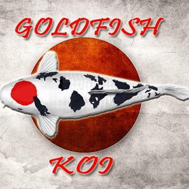 koi_goldfish's profile picture. Amantes de los Koi y consejeros para tu estanque. Sigannos y no duden en hacernos llegar cualquier cuestion https://t.co/Qa2rq59mMY