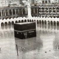 المغردة سارة فدا (@sarafida5) 's Twitter Profile