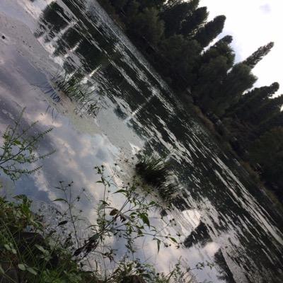 vibbiie's profile picture. 