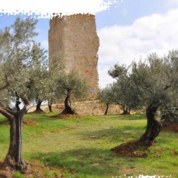 manosqueot's profile picture. 