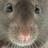 BillericayRat's profile image