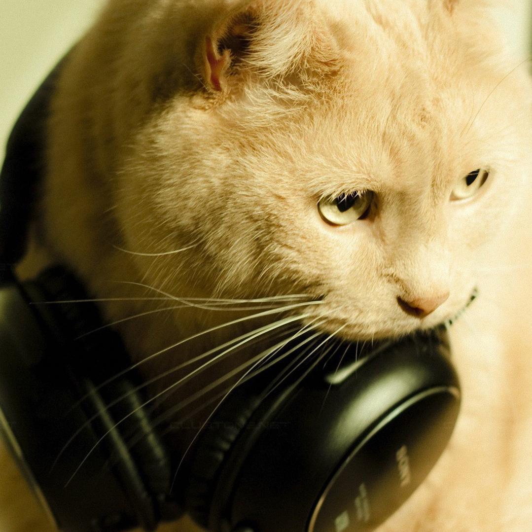 Selection of music for everyone.