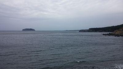 Iracus's profile picture. 