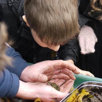 childs_hill's profile picture. Local Partnership working to create a new Educational Marsh Garden at Childs Hill Park.