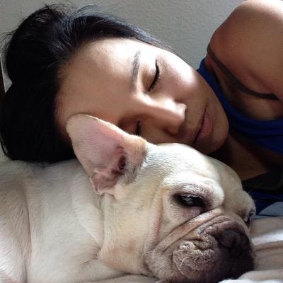 bolet_fung's profile picture. パグのボレット&ピーちゃん、はなちゃん、フレブルのヨーダちゃん、狆のモカちゃんとブヒブヒと毎日楽しく暮らしています♪はなぺちゃ犬、だぁーい好きです！