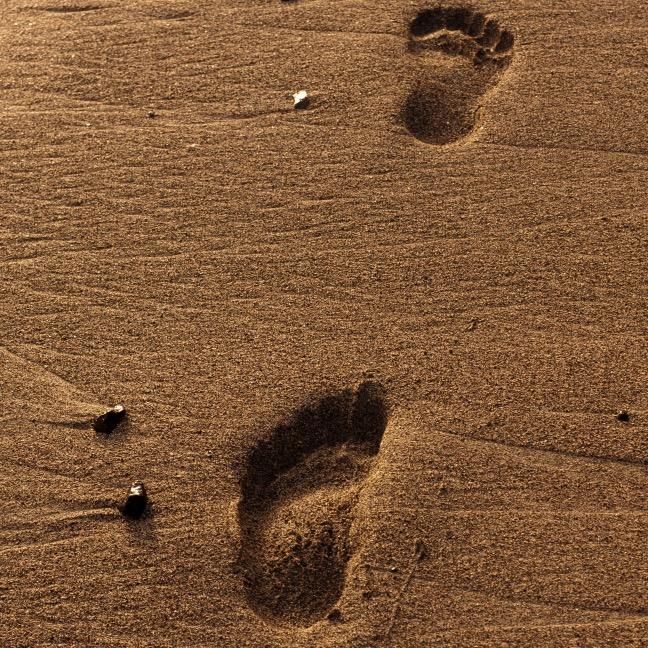 Night802M's profile picture. 