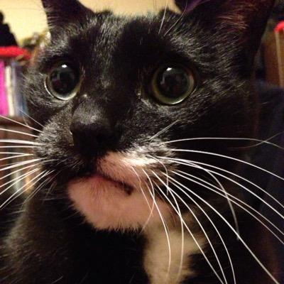 marumarurin0831's profile picture. 冬はいらない。うんいらない。