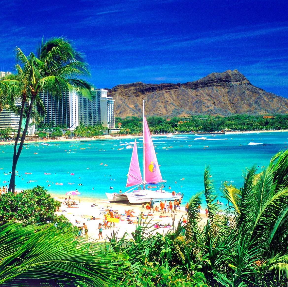ハワイのおすすめ情報 Hawaii Navi Twitter ハワイのおすすめ情報 Hawaii Navi Twitter