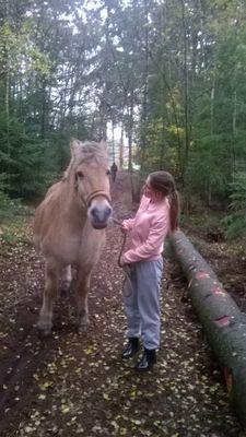 Michelle ❤ K3hw Het Stedelijk ❤Paardrijden en Voetbal MC1❤ Love my Schattiess ❤ no Horseriding no life ❤Niall Horan❤1D❤Joris❤stal aan het enzerinck❤