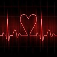 Holyfans aka Lottesillja (@sillja) 's Twitter Profile