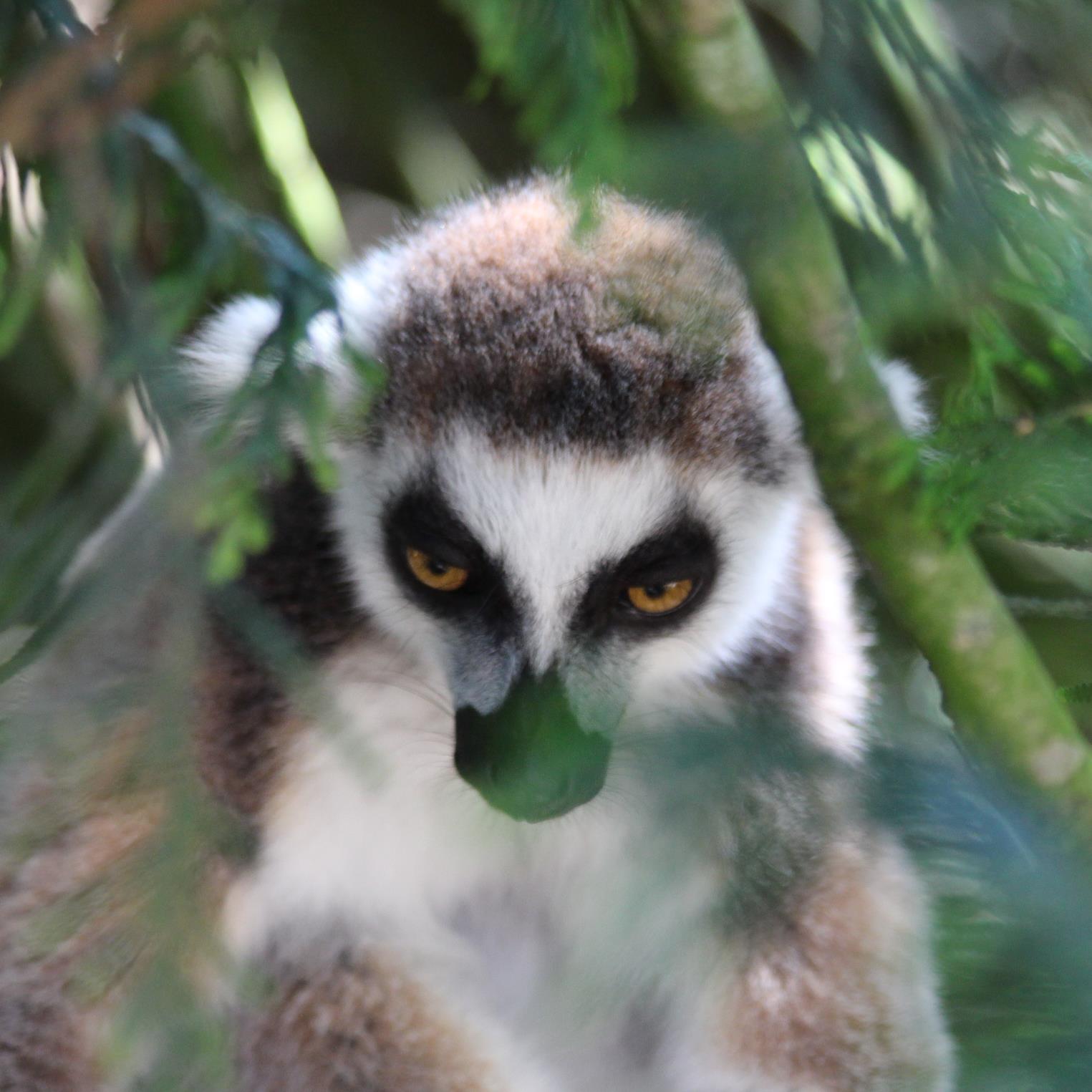 Trouillar's profile picture. 