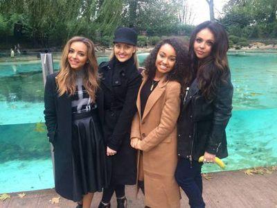 Little Mix ❤ Zerrie Shipper @LittleMix