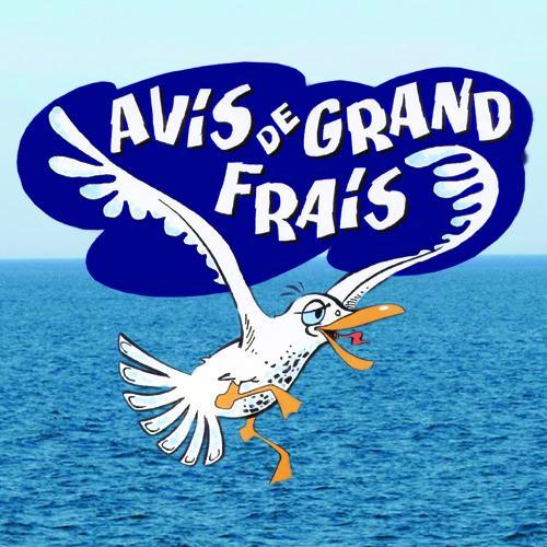 avisgrandfrais Profile Picture