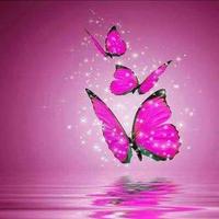الحياة خربانه (@ahmed926696171) 's Twitter Profile