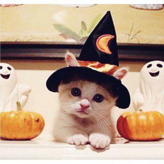 c65b0722234d4b0's profile picture. 