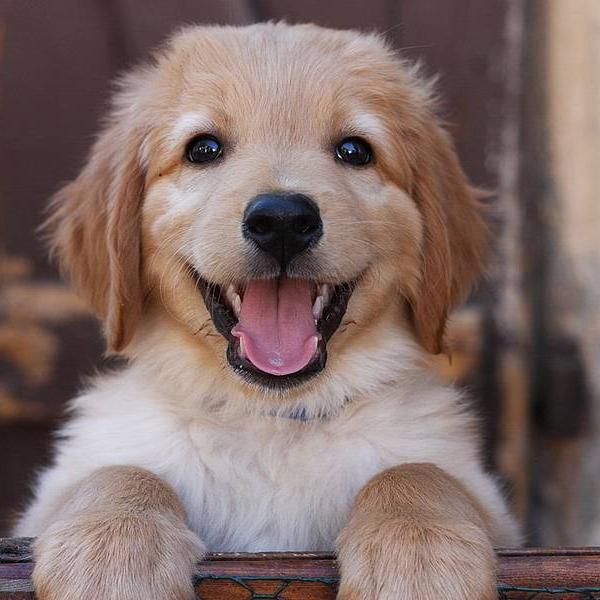 Marcel200200's profile picture. 