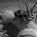 Dallas Thacker - @ddthacker - Twitter