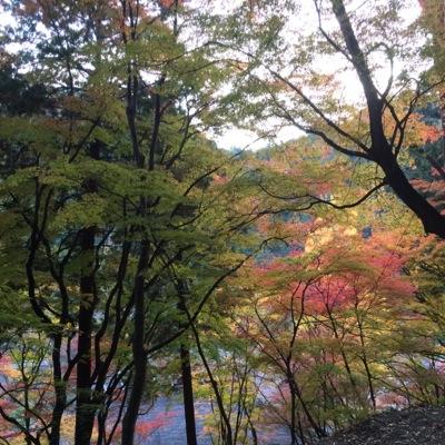 ビジネス模索中 不労収入 投資 アフィリエイト興味あります 自動つぶやきの設定が解除できていないため、定期的につぶやいていますが、今は自分に合ったビジネス探しをしています よろしくお願いします 東海