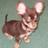 bounoc's profile image