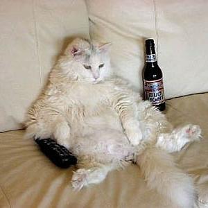 Yo.. es que soy muy de #mahou