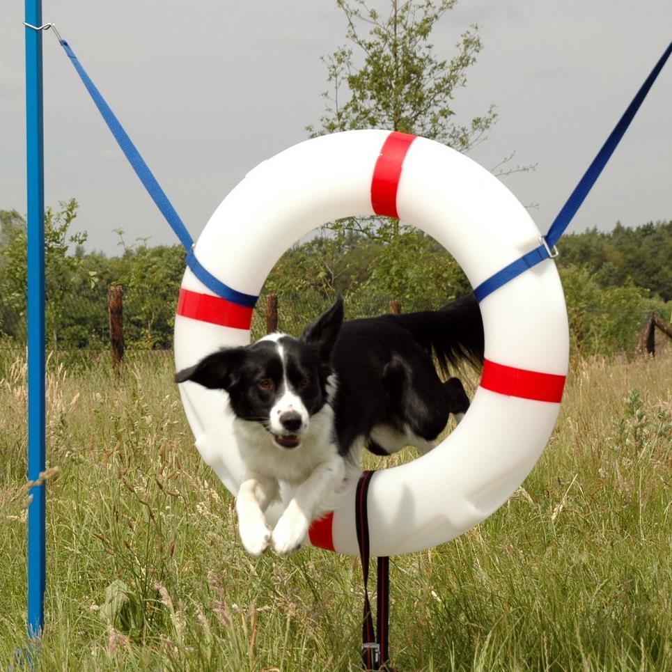 Bamoostveen's profile picture. 