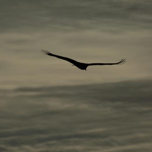 yimsaggat's profile picture. 교회도 가보고 성당에도 가보고 절에도 가보았으나 결국 이 세상이 큰 교회요 성당이요 절이라고 생각하게 되었음.
그리고 이 세상,자연 우주속에 하느님 부처님,그리고 모든 성현들의 가르침이 있다고 생각하게 되었음.
김사깟처럼 임사깟이되어 바람부는대로 물흐르는대로 허허롭게 살고 싶음.