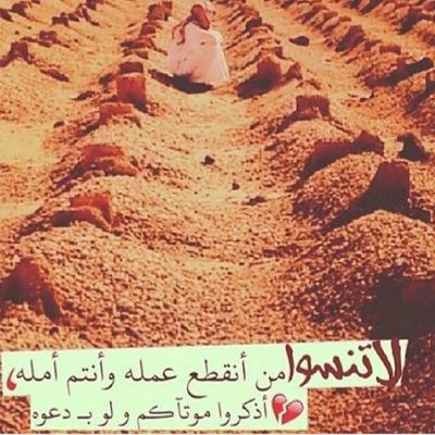 الطرق المؤديه لك يا جدي انسدت ولكن طرق الخير لم تنسد جعلت هذا الحساب صدقة جارية لك ولأن الحب دعاء فكل ما لامس جبيني الأرض دعيت الله ان نلتقي بجنته