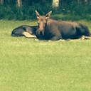 Patrick Wilke - @Alaskan58 - Twitter