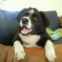 Miss Positivity (@harnessdhashtag) 's Twitter Profile