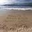 beach_manor's profile image