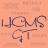 HCMS_GT's profile image