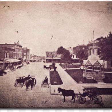 BluElephantInv's profile picture. 