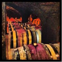 Wineadelphia (@wineadelphia) 's Twitter Profile