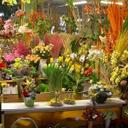 Iza Nowak - @KwiaciarniaBlog - Twitter