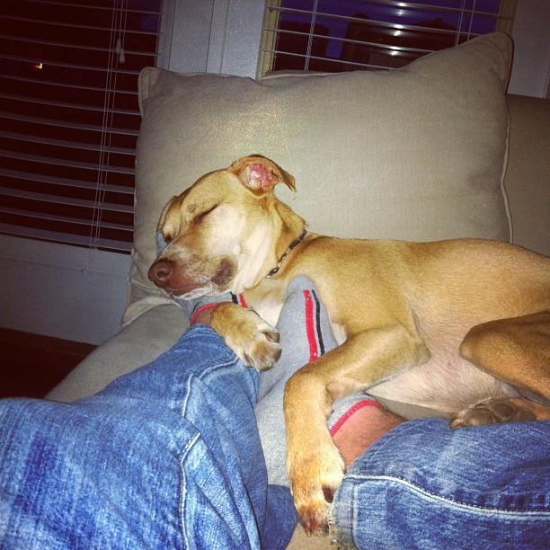 rintin_ca's profile picture. 