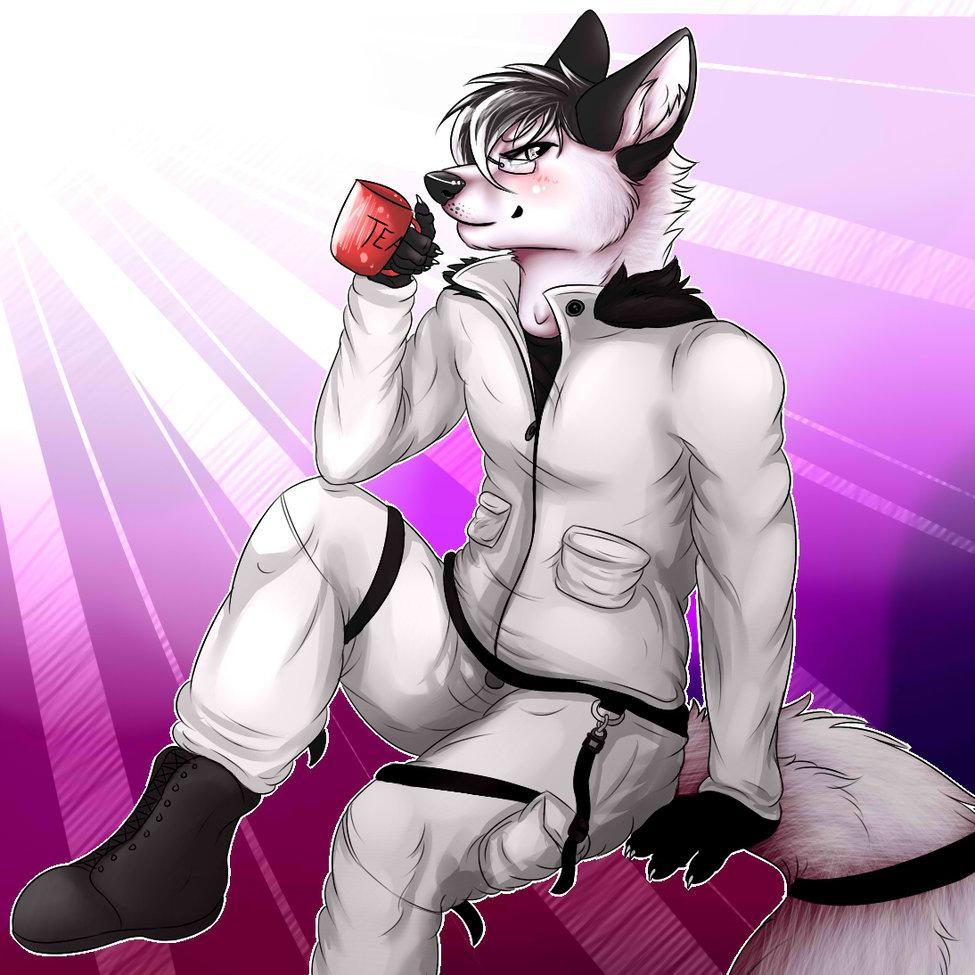 nmatson45's profile picture. (RP Account:@FurryNathan) Hey! Name's Nathan. I'm just a regular guy in a fun and crazy world. For music:@KitbashHaven