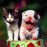 Hawthorne D&C Hosp Profile