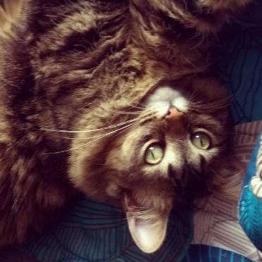 marceang's profile picture. Publicista, fashion lover y amante de los gatos