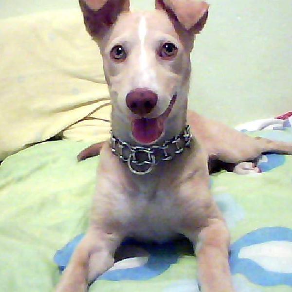 jessenia_uribe's profile picture. 