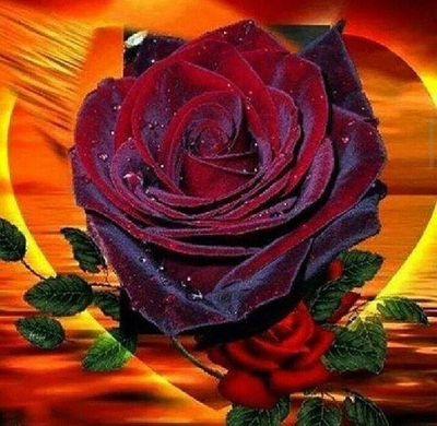 ‏‏‏سبحان الله العظيم