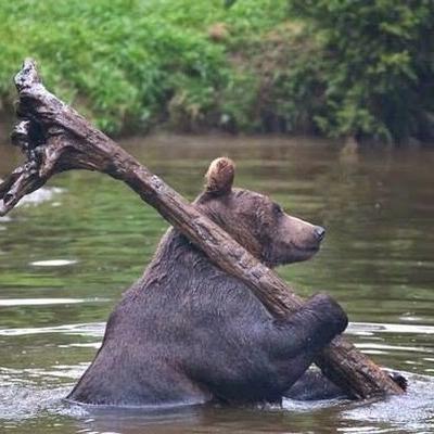 хороший..........