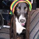 Everett Washington - @Everett_WA_425 - Twitter