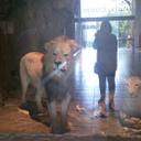 Karina Trejo - @KariTrejoRivera - Twitter