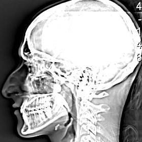 stanwojenny's profile picture. ZZZ